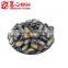 Chinese Hybrid Watermelon Seeds on Sale