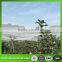 100% new HDPE anti hail net/Transparent Anti Hail Net/Virgin HDPE anti hail net