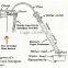 Gold Mercury Distill