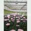 Production And Growing Greenhouse