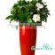 bright color flower pot