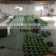 zhejiang wenling centrifugal backpack furnace blowers