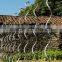 galvanized tomato growing spiral