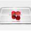 stainless steel oval food serving trays with stainless steel handles