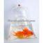 Transparent Plastic Food Bag