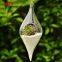 Transparent glassware olive shape hanging glass vase for home ornaments