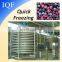 Professional vertical freezer IQF Spiral quick freezing chicken blast machine