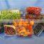 Automatic Plastic Egg Tray/Container Making Machine Price