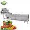Industrial Beetroot Bubble Washing Machine Ozone Type Tomato Washer Machine