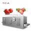 IQF commercial quick freezer for fruit / vegetable French rieswith CE