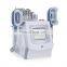 Best 360 Degree Fat Freezing slimming Machine for Weight Loss Fat Reducing Double Chin cryolipolysis beauty machine