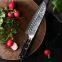 7 inch Santoku Knife VG10 Damascus Stainless Steel Super Sharp Best Chef Knife with G10 Handle Kitchen Knives