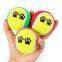 Promotional and Cheap Puppy Tennis Ball for Dog