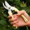 Small Garden Hand Pruners