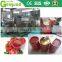 Tomato sauce processing plant/Tomato sauce processing machine / Tomato paste production line