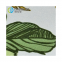 Oekotex certified Ocean recycling 100%RPET Recycled Polyester Peach skin velvet fabric for Beach pants Home textiles