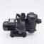Professional Supplier 1.2hp 1.5hp 2hp 3hp 4hp Water Pump Swimming Pool High Performance Pump