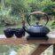 Cast Iron Teapot Set Stove Top Tea Kettle With Cups Japanese Style Tetsubin Tea Gift Set, 26 oz With Stainless Steel Infuser