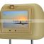Hot selling 8" Car Pillow Headrest Monitor DVD Player without DVD Driver car mp3 player