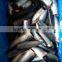 frozen pacific mackerel HGT
