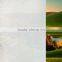 switchable smart window film smart glass film with frosting