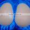 Silicone Buttock Pads& Women's Hip Enchancer
