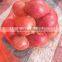 Fresh red shallot ,Fresh onion shallot,Exporter of onion