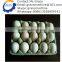 Jw-1000 type good quality full automatic making machine egg tray carton                        
                                                Quality Choice