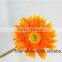 Wholesale High Quality Gerbera Flowers Golden Gerbera From CHINA