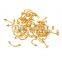 50 Pieces 16G Gold Plated Steel Body Piercing Mixed with Nose Ring/Labret/Eyebrow Jewelry/Tongue Ring                        
                                                Quality Choice