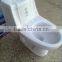 Washdown ceraimc one piece bio toilet