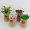 Wholesale Artificial Succulent Bonsai Pot Succulent Plants