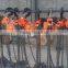 AC 380v 3 phase DHp type electric chain hoisting equipment