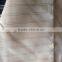 Polyester Taffeta with black yarn for lining