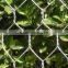 gabion box CE certificate, 80*120mm opening size gabion baskets