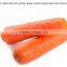 Chines bulk fresh carrots