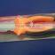 Combination Pliers A11