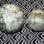 Polished Tree Agate Balls