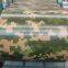 PPGI steel sheet used to container/freezer
