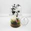 White Rose Dry Preserved Flower Glass Terrarium Dome Home Decoration Table Centerpiece Ornament Indoor Gardening 0120002