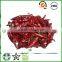 China distributor dried red chili