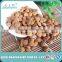 China raw apricot kernel wholesale price