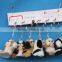 Factory wholesale 100% wholesale artificial christmas wreaths