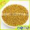 bulk natural corn(maize) pollen granule 100% pure flower pollen for prostatitis treatment and prevention
