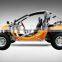 Exclusive Design EEC 1100cc 2x4/4x4 Buggy