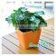 garden plastic flower pot manufacture