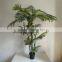 decorative Hawaii kwai artificial kwai tree fake palm tree