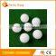 One piece plastic golf hollow ball