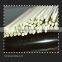 Perfect Quality Low Price Disposable 30cm Length Natural Bamboo Bbq Skewer/stick
