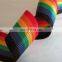 High Quality pp Webbing/ Luggage Belt